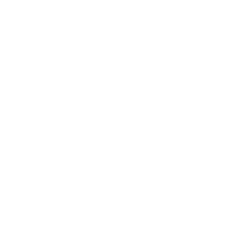 Pizza Metro Chicago